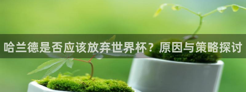 世界杯 中国:哈兰德是否应该放弃世界杯?原因与策略探讨