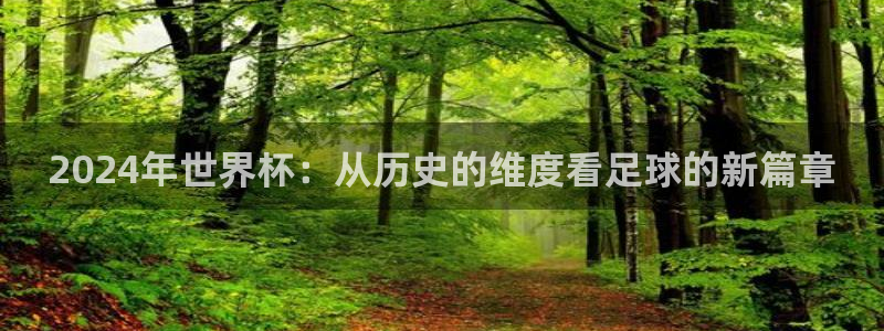 2026世界杯32强对阵图表:2024年世界杯:从历史的维度看足球的新篇章