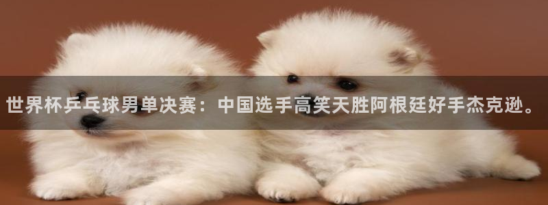世界杯赛程时间表:世界杯乒乓球男单决赛:中国选手高笑天胜阿根廷好手杰克逊。