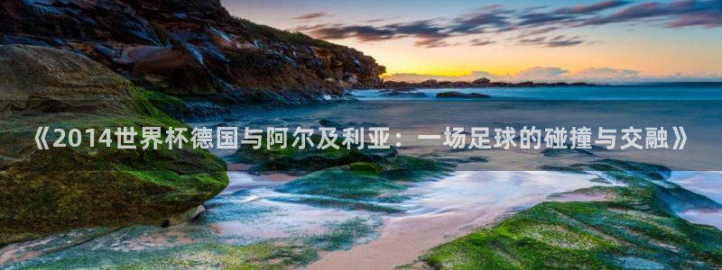 2006世界杯:《2014世界杯德国与阿尔及利亚:一场足球的碰撞与交融》