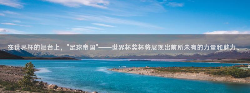 世界杯预选赛排名:在世界杯的舞台上,\