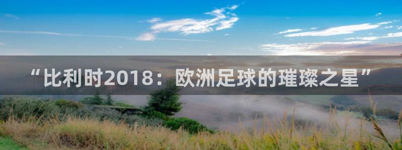 世界直播:“比利时2018:欧洲足球的璀璨之星”