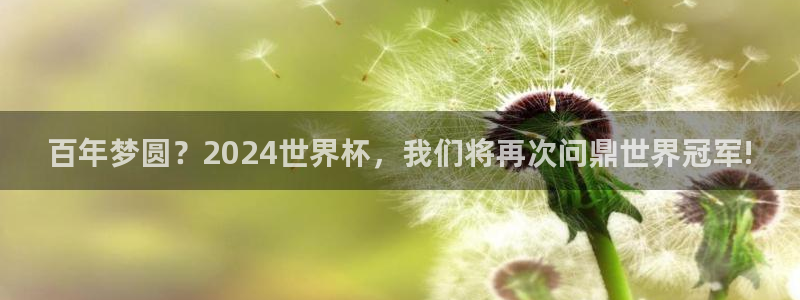 世界杯 2026:百年梦圆?2024世界杯,我们将再次问鼎世界冠军!