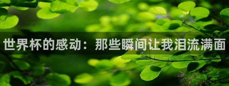 世界杯官网入口:世界杯的感动:那些瞬间让我泪流满面